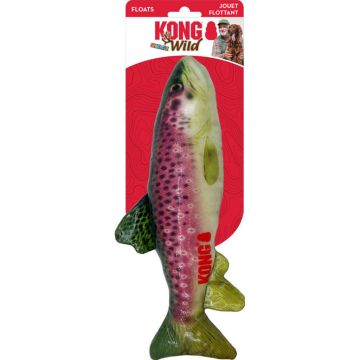 KONGRSW21 Image 1