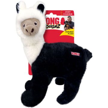 KONGTGZ24 Image 1