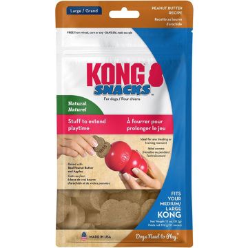 KONGXR1 Image 1