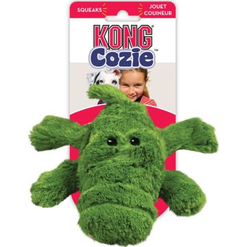 KONGZY2 Image 1