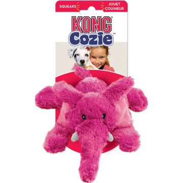 KONGZY22 Image 1