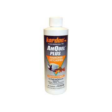 KORDON33448 Image 1