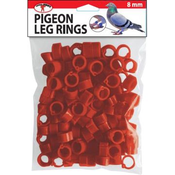 LITGIAPRINGRED Image 1