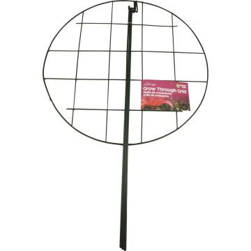 LUSLEA973 Image 1