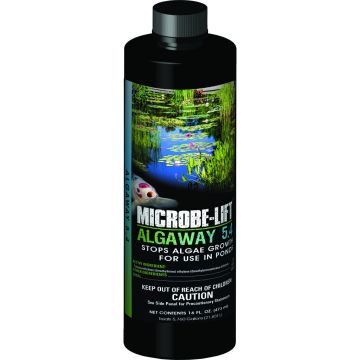 MICLIFALGA16 Image 1