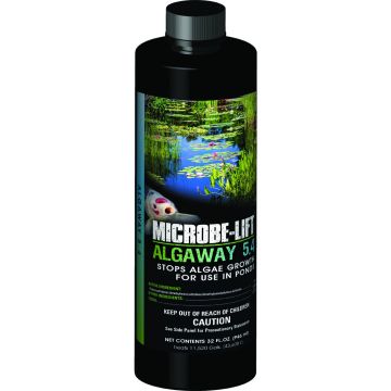 MICLIFALGA32 Image 1