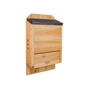 NATWAYCWH6 Image 1