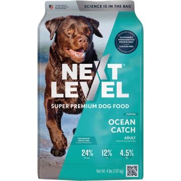 NEXLEV111OC04 Image 1