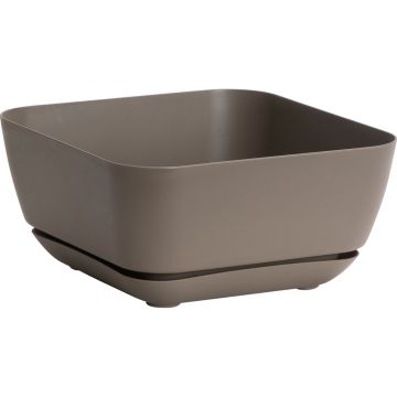 NOVELT10023 Image 1