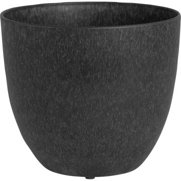 NOVELT17079 Image 1