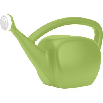 NOVELT31002 Image 1