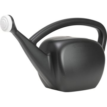 NOVELT31006 Image 1