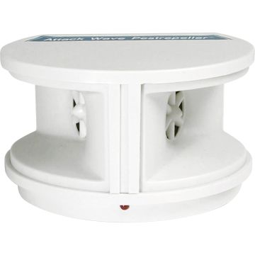 P3INTEP7816 Image 1