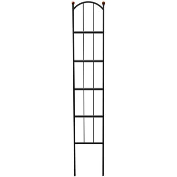 PANPRO81432 Image 1