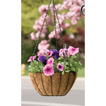 PANPRO88507 Image 1