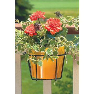 PANPRO89049 Image 1