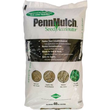 PENMUL2396109 Image 1