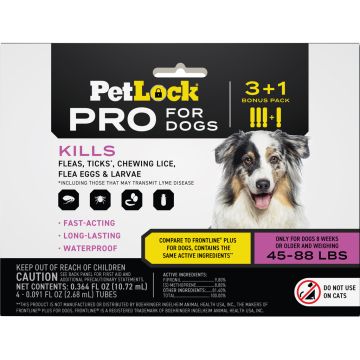 PETLOC10246 Image 1