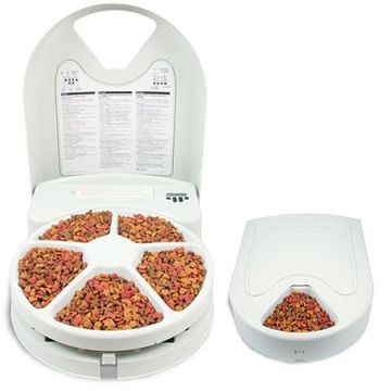 PETSAFPFD1113707 Image 1