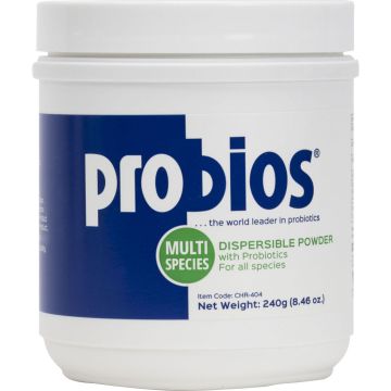 PROBIO022CHR404 Image 1