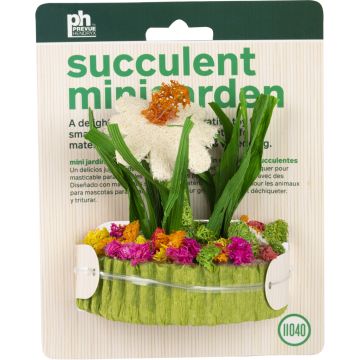 PRVPET11040 Image 1