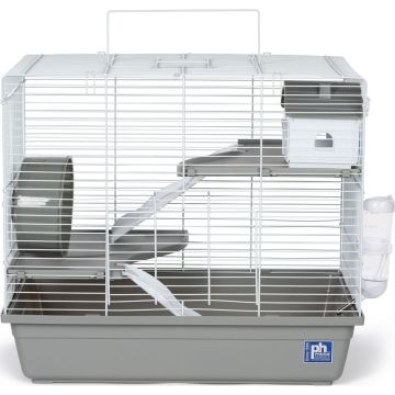 PRVPET2013 Image 1
