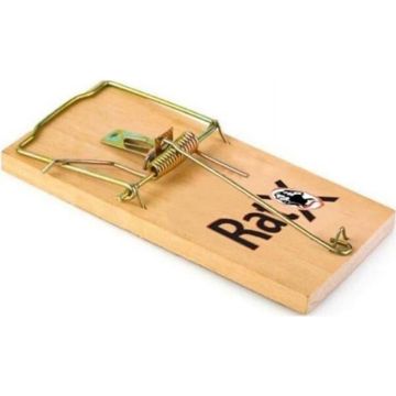 RATX620305 Image 1