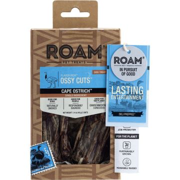 ROAM152 Image 1