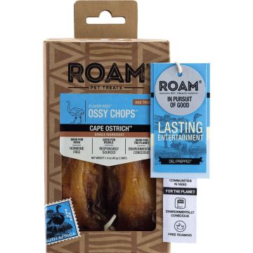 ROAM153 Image 1