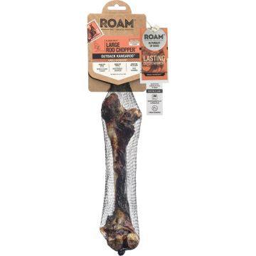 ROAM413 Image 1