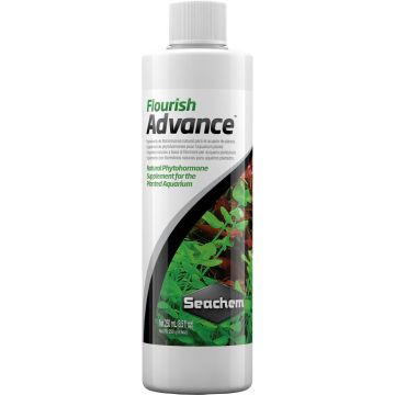 SEACHE1236 Image 1