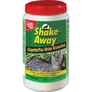 SHAAWA5006458 Image 1