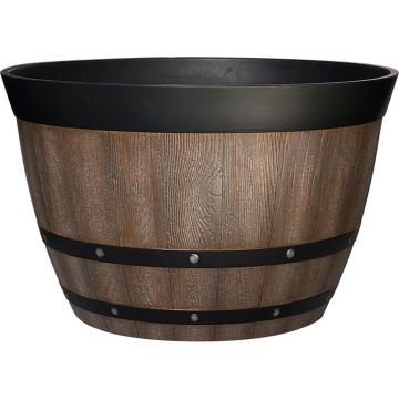 SOUPAT1000003313 Image 1