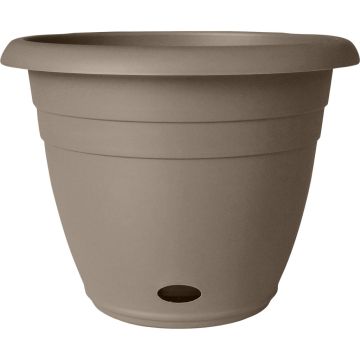 SOUPAT1000004767 Image 1