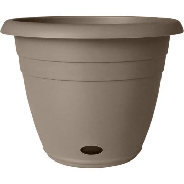 SOUPAT1000004773 Image 1