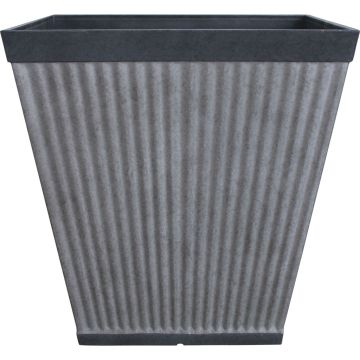 SOUPAT1000004781 Image 1