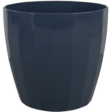 SOUPAT1000005863 Image 1