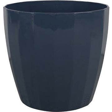 SOUPAT1000005864 Image 1