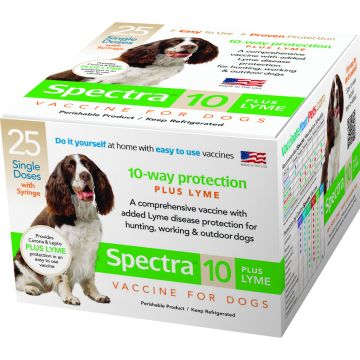SPECTR00415200 Image 1