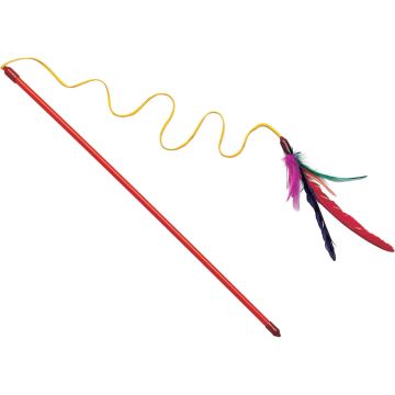 SPOT2437 Image 1