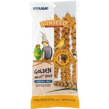 SUNSEE10941 Image 1