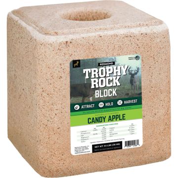 TROPHY114689 Image 1