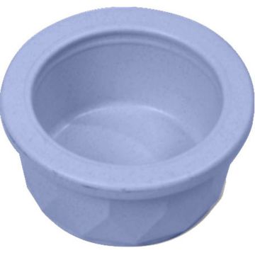 VANNESCS1 Image 1