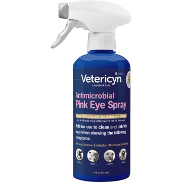 VETCYN0851100 Image 1