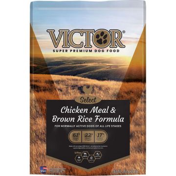 VICTOR2060 Image 1