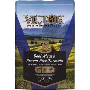 VICTOR2138 Image 1