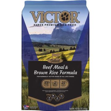 VICTOR2343 Image 1