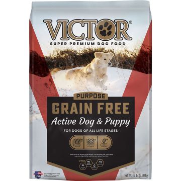 VICTOR2534 Image 1