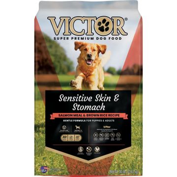 VICTOR2900 Image 1