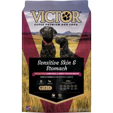 VICTOR2920 Image 1